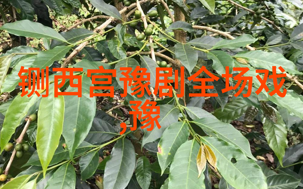 岳新芳