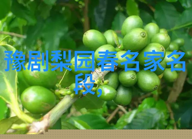 豫剧名家金不换